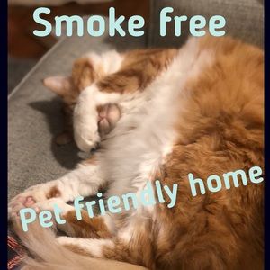 Pet friendly, smoke free home